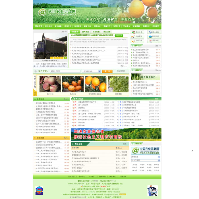 云南政府网站建设