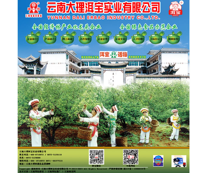 云南网站建设、昆明网站建设、云南网站制作、昆明网站制作、云南微网站制作、云南网站优化推广、大理网站建设、丽江网站建设、大理网站制作、丽江网站制作、保山网站建设、德宏网站建设、文山网站建设、楚雄网站建设、红河网站建设、云南政府网站建设、普洱网站建设