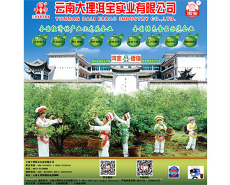 大理洱宝实业有限公司