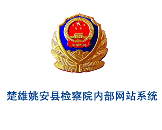 姚安县公安局内部网站系统