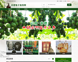 永德电子商务网